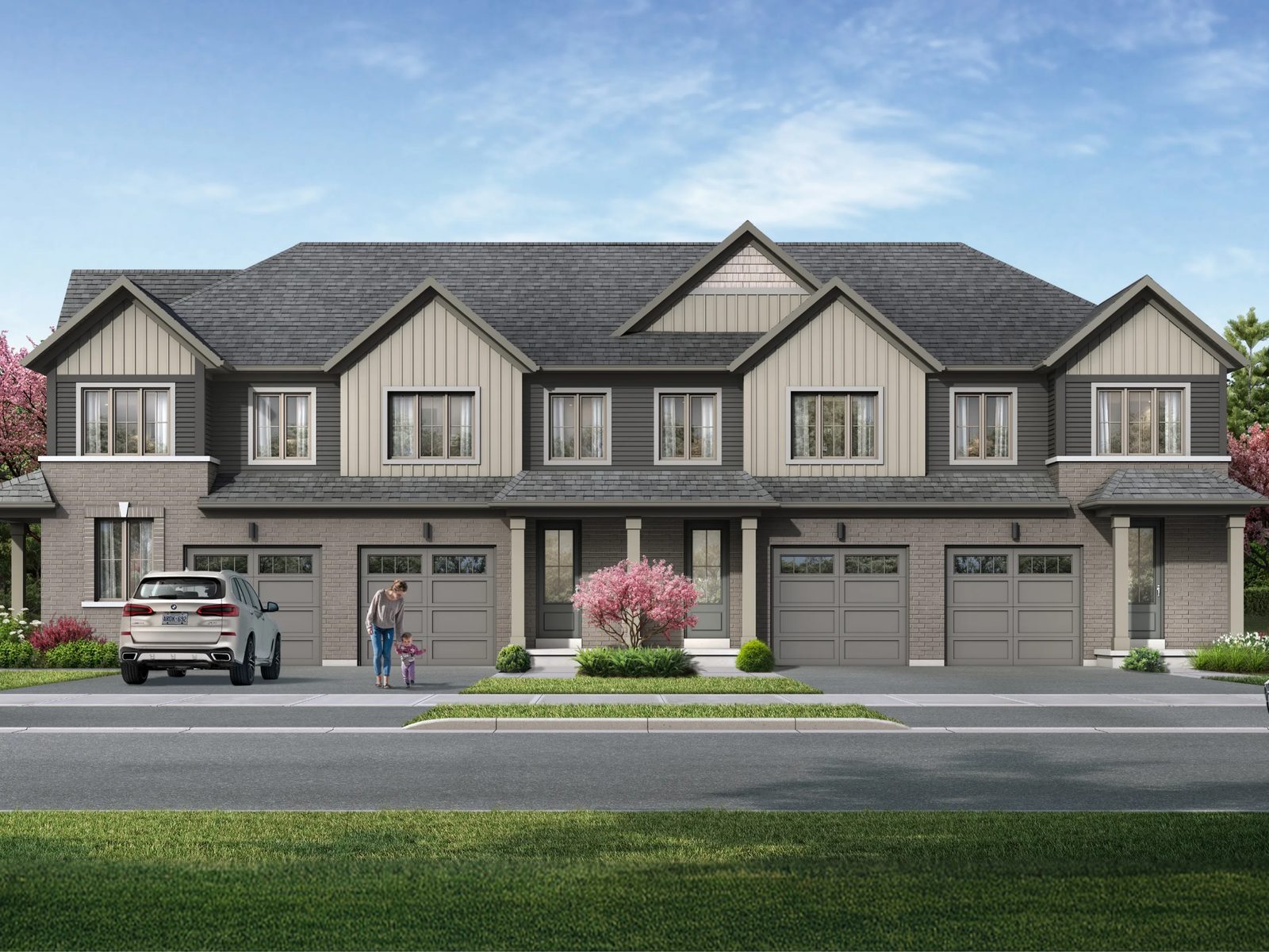 Mountain Maple - elevation A